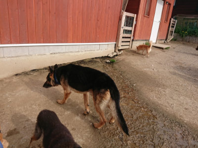 f:id:roukenhome-ann:20190419183309j:plain