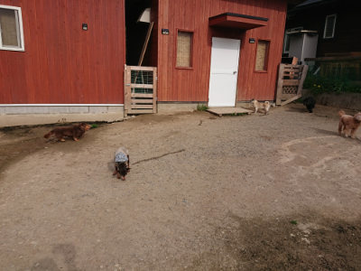 f:id:roukenhome-ann:20190419183315j:plain