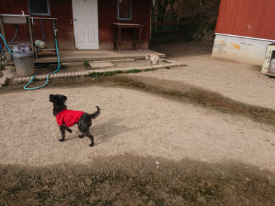 f:id:roukenhome-ann:20190419183319j:plain