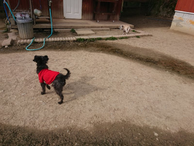 f:id:roukenhome-ann:20190419183323j:plain