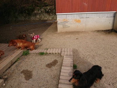 f:id:roukenhome-ann:20190419183327j:plain