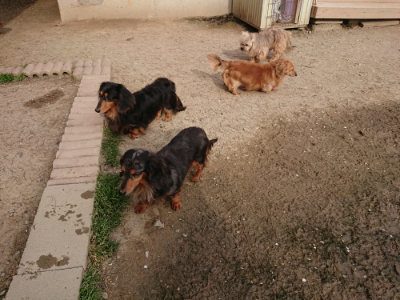 f:id:roukenhome-ann:20190419183338j:plain