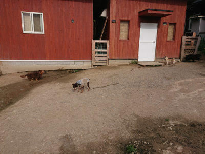 f:id:roukenhome-ann:20190419183402j:plain