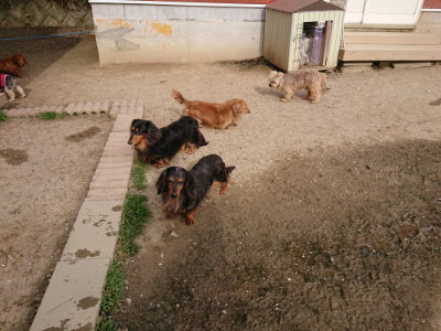 f:id:roukenhome-ann:20190419183406j:plain