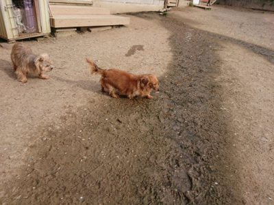 f:id:roukenhome-ann:20190419183411j:plain