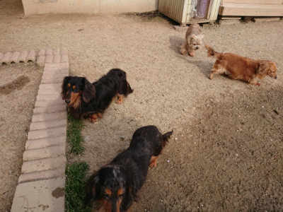 f:id:roukenhome-ann:20190419183429j:plain