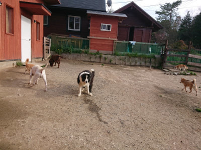 f:id:roukenhome-ann:20190419183441j:plain