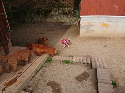 f:id:roukenhome-ann:20190419183450j:plain