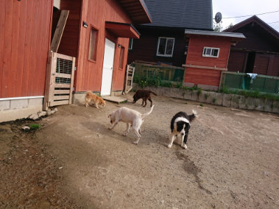 f:id:roukenhome-ann:20190419183459j:plain