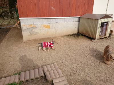 f:id:roukenhome-ann:20190419183516j:plain