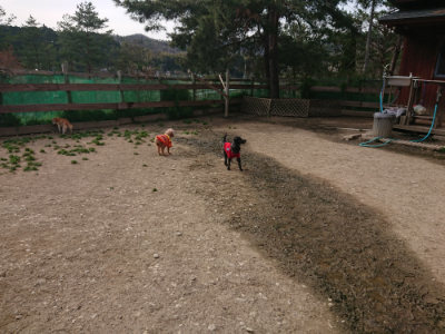 f:id:roukenhome-ann:20190419183614j:plain