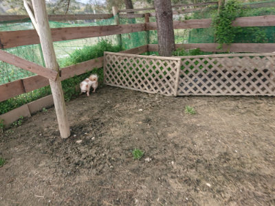 f:id:roukenhome-ann:20190419183619j:plain
