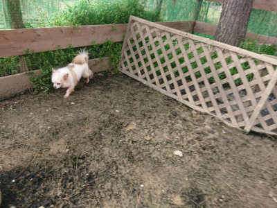 f:id:roukenhome-ann:20190419183625j:plain