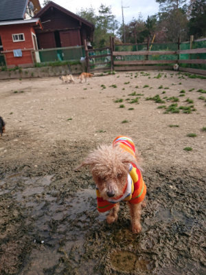 f:id:roukenhome-ann:20190419183647j:plain