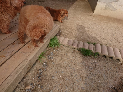 f:id:roukenhome-ann:20190419183654j:plain