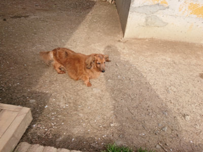 f:id:roukenhome-ann:20190419183720j:plain