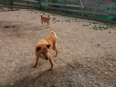 f:id:roukenhome-ann:20190419183732j:plain