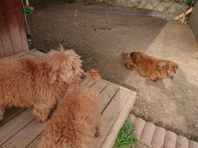 f:id:roukenhome-ann:20190419183741j:plain
