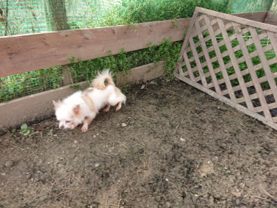f:id:roukenhome-ann:20190419183803j:plain
