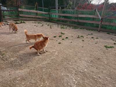f:id:roukenhome-ann:20190419183814j:plain