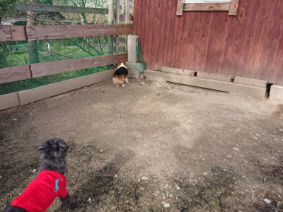 f:id:roukenhome-ann:20190419183825j:plain