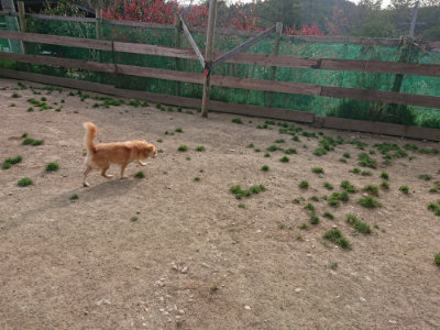 f:id:roukenhome-ann:20190419183839j:plain