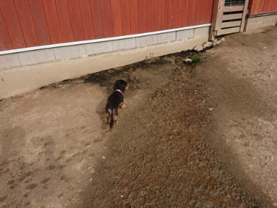 f:id:roukenhome-ann:20190419183919j:plain