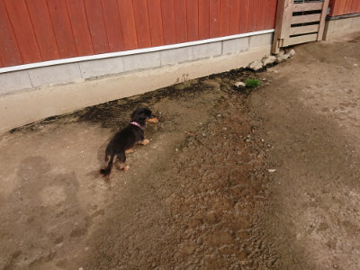f:id:roukenhome-ann:20190419183924j:plain