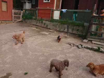 f:id:roukenhome-ann:20190419183930j:plain