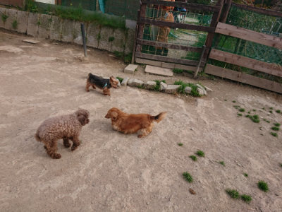 f:id:roukenhome-ann:20190419183937j:plain
