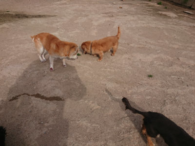 f:id:roukenhome-ann:20190419183952j:plain
