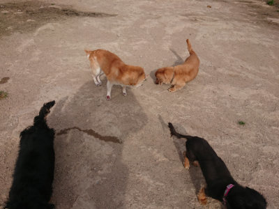 f:id:roukenhome-ann:20190419184017j:plain