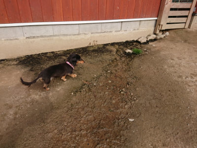 f:id:roukenhome-ann:20190419184026j:plain