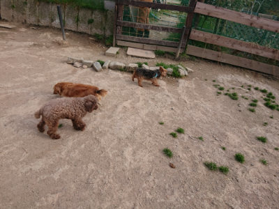 f:id:roukenhome-ann:20190419184042j:plain