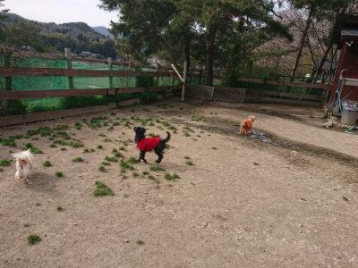 f:id:roukenhome-ann:20190419184047j:plain
