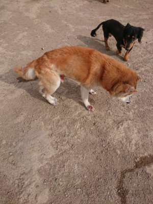 f:id:roukenhome-ann:20190419184052j:plain