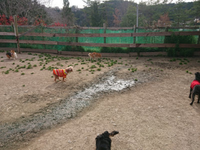 f:id:roukenhome-ann:20190419184057j:plain