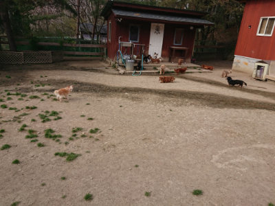 f:id:roukenhome-ann:20190419184120j:plain