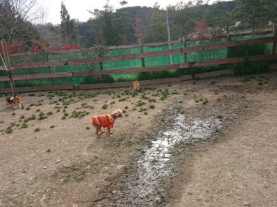 f:id:roukenhome-ann:20190419184141j:plain