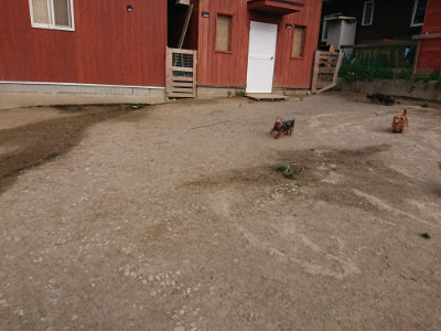 f:id:roukenhome-ann:20190419184701j:plain
