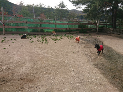 f:id:roukenhome-ann:20190419184721j:plain