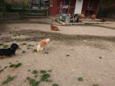 f:id:roukenhome-ann:20190419184726j:plain