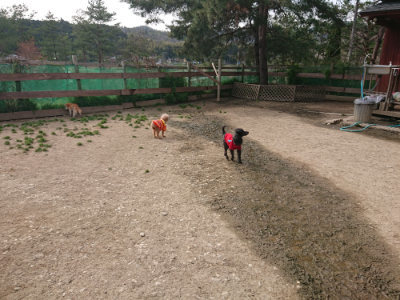 f:id:roukenhome-ann:20190419184737j:plain