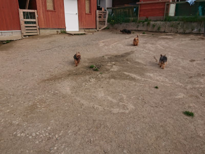 f:id:roukenhome-ann:20190419184743j:plain
