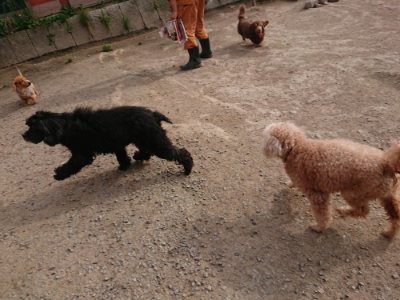 f:id:roukenhome-ann:20190419184801j:plain