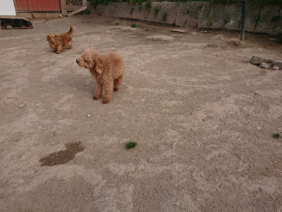 f:id:roukenhome-ann:20190419184808j:plain