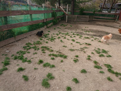 f:id:roukenhome-ann:20190419184815j:plain