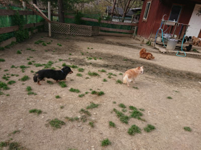 f:id:roukenhome-ann:20190419184833j:plain