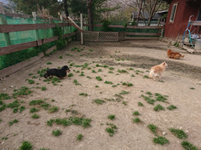 f:id:roukenhome-ann:20190419184853j:plain