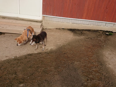 f:id:roukenhome-ann:20190419184910j:plain